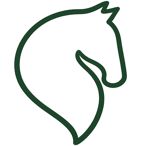 favicon dasleitner at