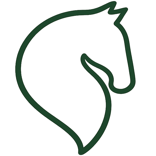favicon dasleitner at